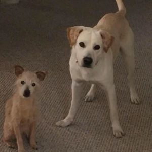 Meet your Posher, Deborah